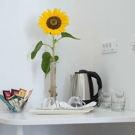 Art בית הארחה